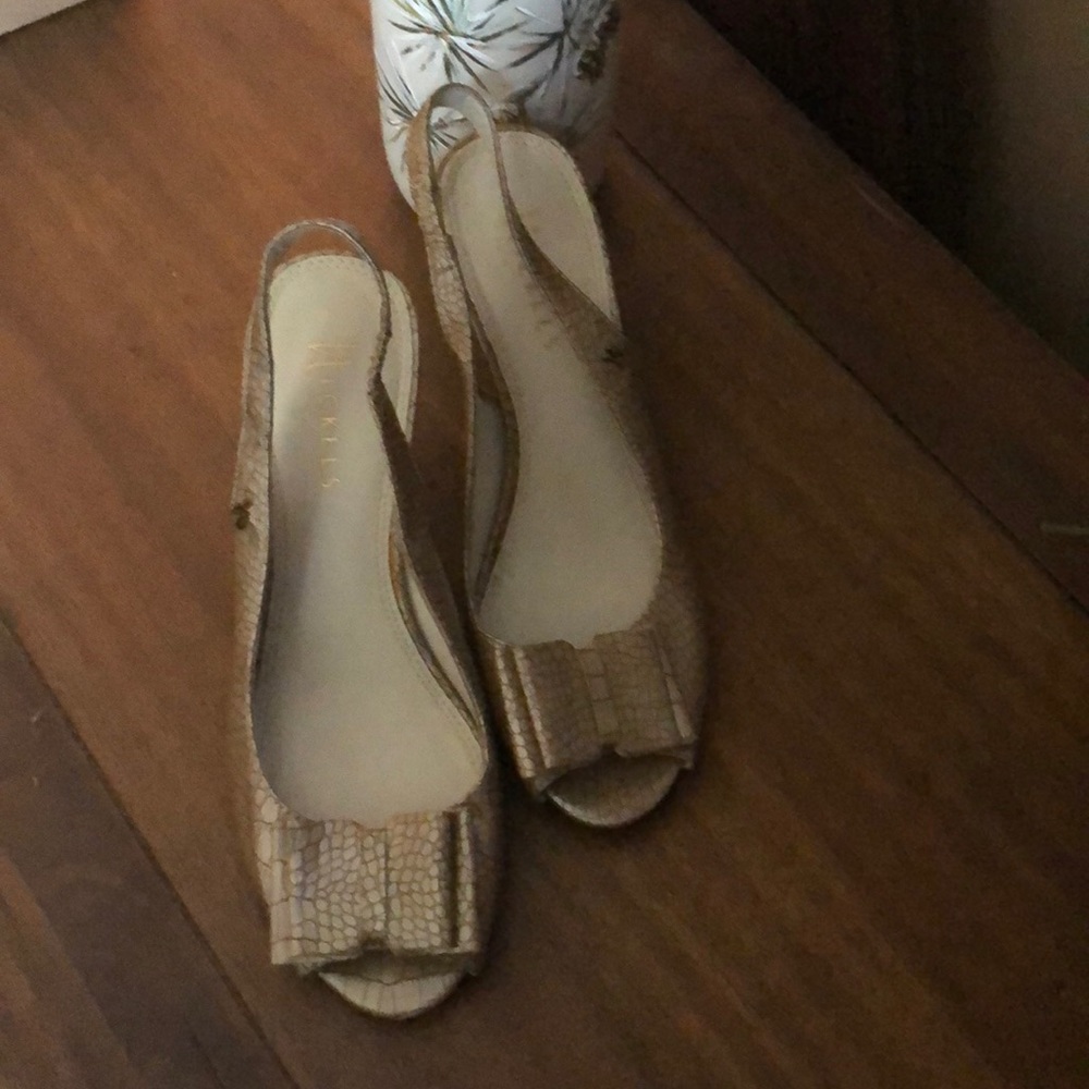 Nickel Shoes